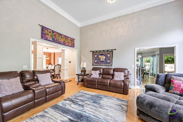 117 Richfield Cir, Kathleen, GA 31047 - living room featuring a high ceiling, a chandelier, crown molding, light wood-style floors, and baseboards