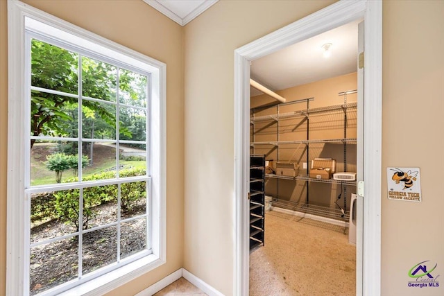 117 Richfield Cir, Kathleen, GA 31047 - view of spacious closet