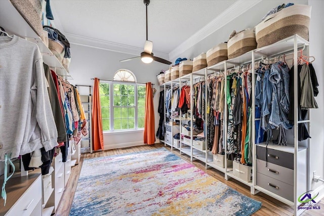 117 Richfield Cir, Kathleen, GA 31047 - walk in closet featuring wood finished floors and a ceiling fan