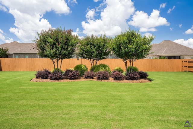 204 Bobtail Run, Kathleen, GA 31047 - view of yard