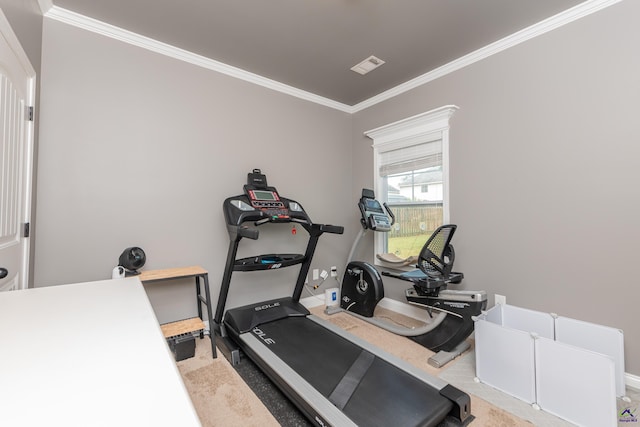 230 Misty Valley Ln, Bonaire, GA 31005 - workout area with ornamental molding and carpet