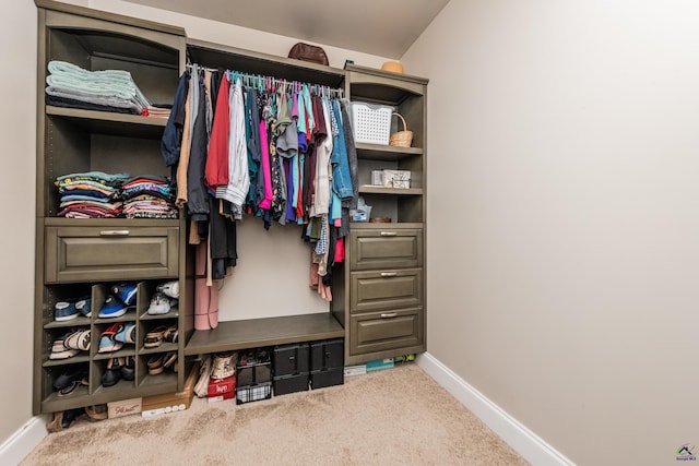 230 Misty Valley Ln, Bonaire, GA 31005 - walk in closet featuring carpet