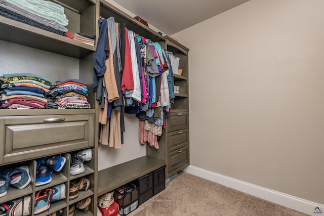 230 Misty Valley Ln, Bonaire, GA 31005 - spacious closet with carpet
