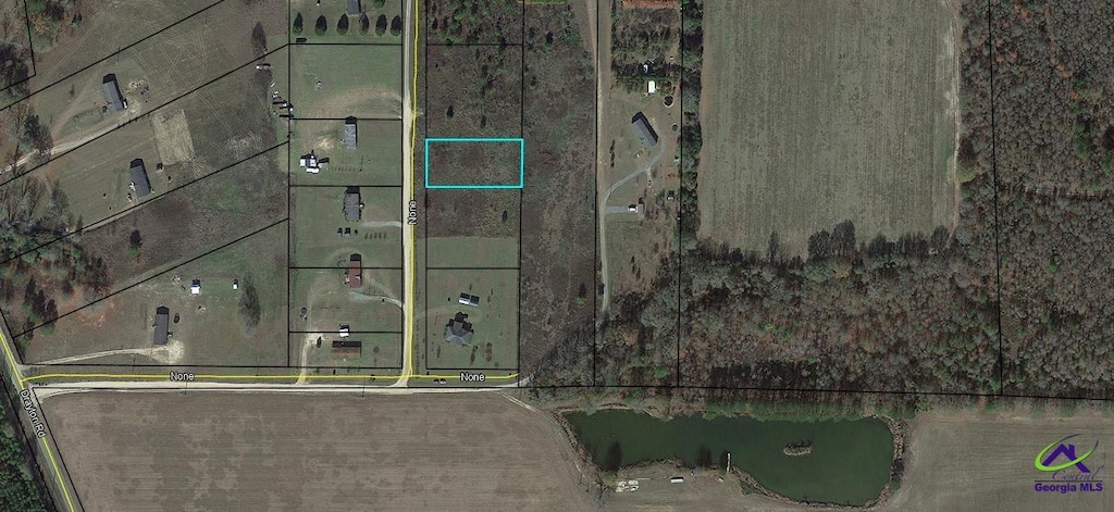LOT13 Sydney Ln, Montezuma, GA 31063