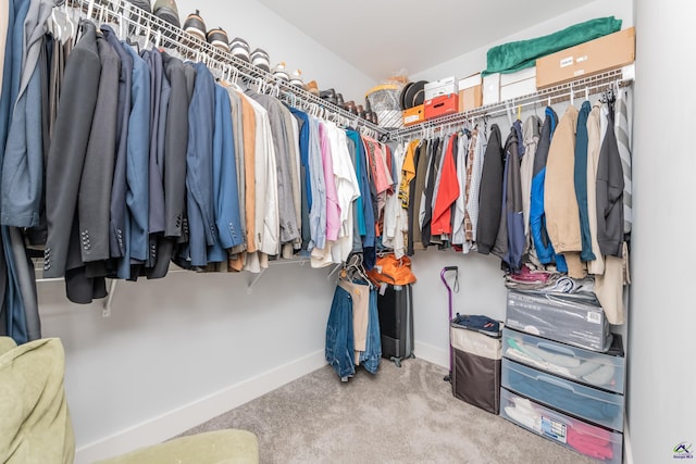 202 Brook Hollow Ct, Kathleen, GA 31047 - spacious closet featuring carpet flooring