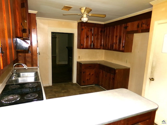 9533 US Highway 80 W, Culloden, GA 31016 - kitchen featuring crown molding, a ceiling fan, and electric stovetop