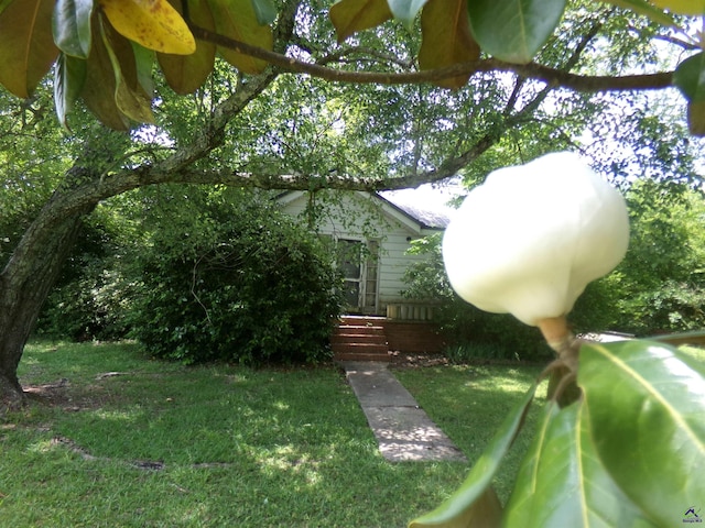 9533 US Highway 80 W, Culloden, GA 31016 - view of green lawn