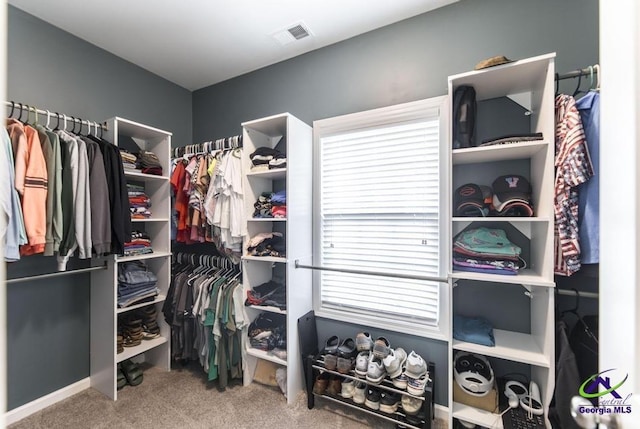 501 Adirondac Way, Bonaire, GA 31005 - spacious closet with carpet floors