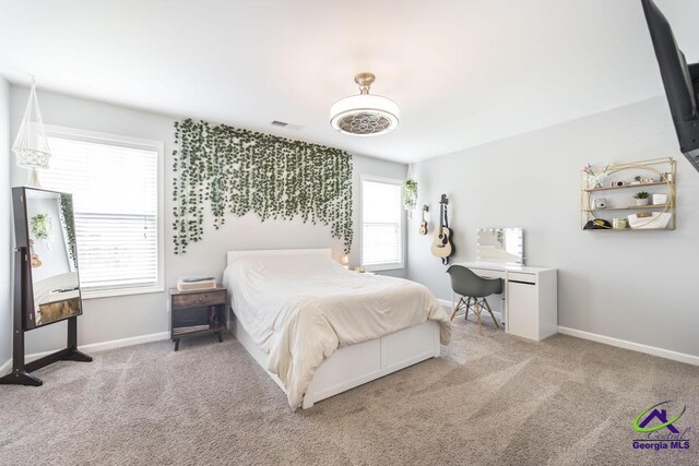 501 Adirondac Way, Bonaire, GA 31005 - carpeted bedroom with baseboards