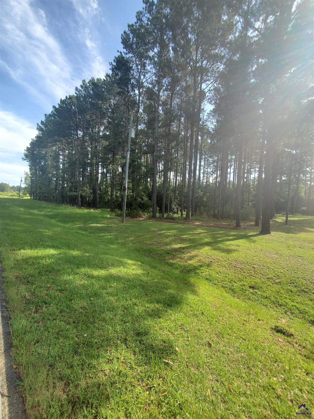 Willow Lake Rd, Fort Valley, GA 31030