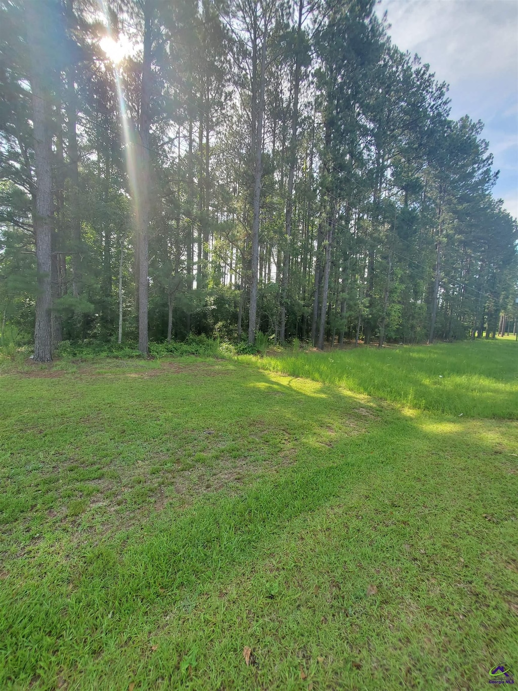 Willow Lake Rd, Fort Valley, GA 31030