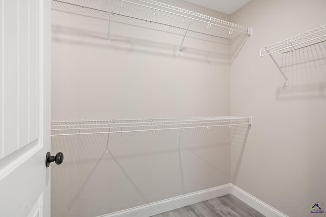 219 Christine Cir, Perry, GA 31069 - spacious closet with wood finished floors