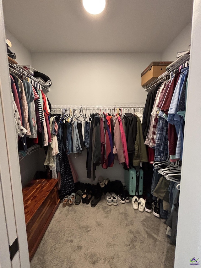 400 Rustic Live Oak Trl, Bonaire, GA 31005 - walk in closet featuring carpet flooring