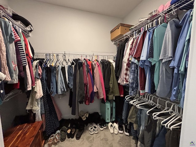 400 Rustic Live Oak Trl, Bonaire, GA 31005 - spacious closet featuring carpet