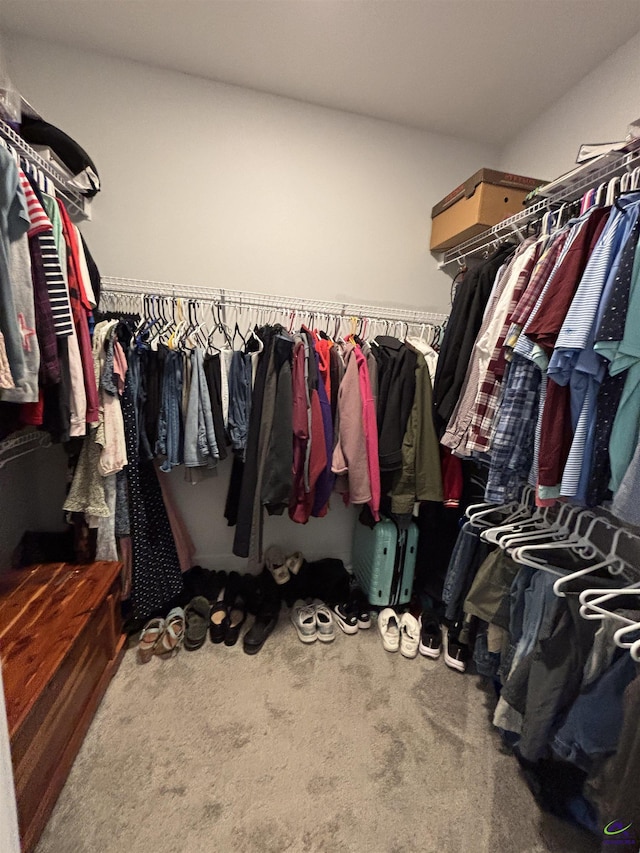 400 Rustic Live Oak Trl, Bonaire, GA 31005 - walk in closet with carpet flooring