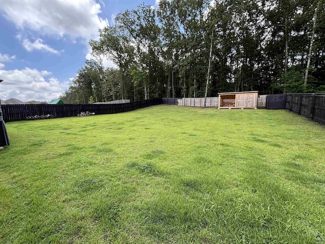 400 Rustic Live Oak Trl, Bonaire, GA 31005 - view of fenced backyard
