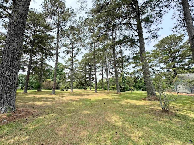 7285 Nowell Rd S, Macon, GA 31216 - view of grassy yard