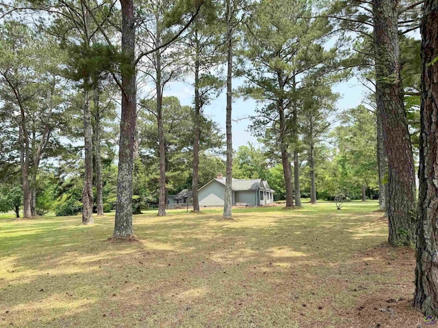7285 Nowell Rd S, Macon, GA 31216 - view of green lawn