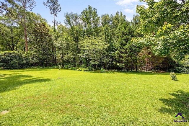 1414 Park Ave, Perry, GA 31069 - view of grassy yard