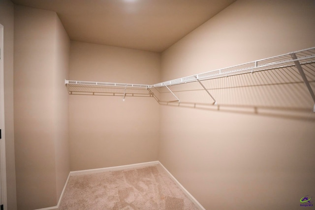 133 W River Cane Run, Perry, GA 31069 - walk in closet with carpet