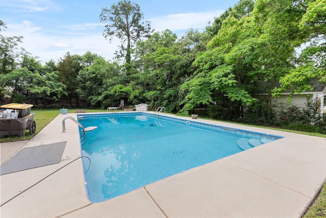 113 Chestnut Rd, Warner Robins, GA 31088 - view of swimming pool featuring a patio and view of wooded area