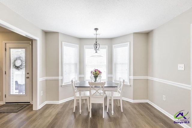 546 Grove Ln, Kathleen, GA 31047 - dining space with wood finished floors, a textured ceiling, and plenty of natural light