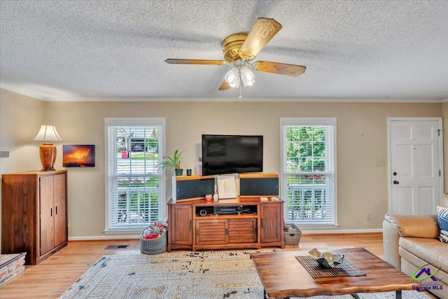 574 Shadow Moss Dr, Macon, GA 31204 - living room with light wood-type flooring, healthy amount of natural light, crown molding, a textured ceiling, and ceiling fan