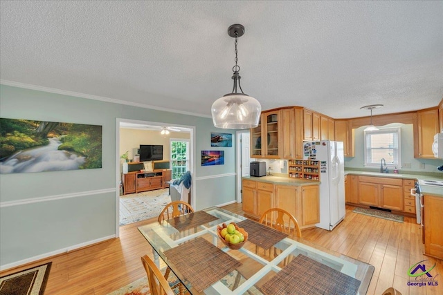 574 Shadow Moss Dr, Macon, GA 31204 - dining space with light wood finished floors, a textured ceiling, ornamental molding, and ceiling fan