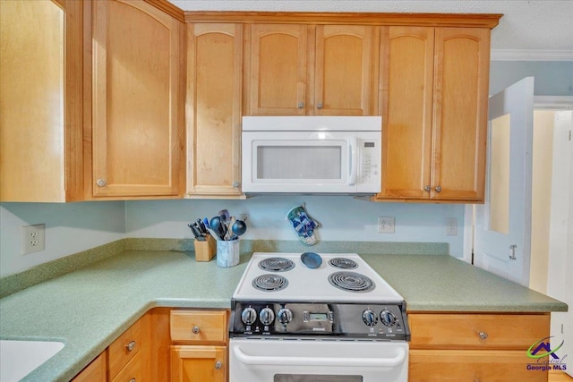 574 Shadow Moss Dr, Macon, GA 31204 - kitchen with white appliances, light countertops, and crown molding
