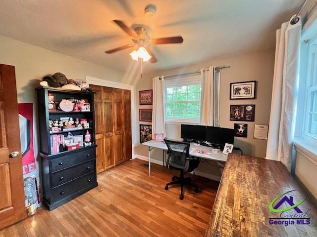 234 Briarcliff Rd, Warner Robins, GA 31088 - office space featuring a ceiling fan and light wood-style floors