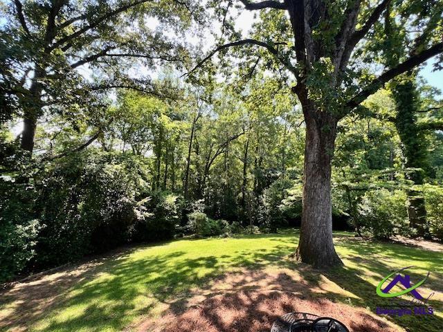 234 Briarcliff Rd, Warner Robins, GA 31088 - view of grassy yard