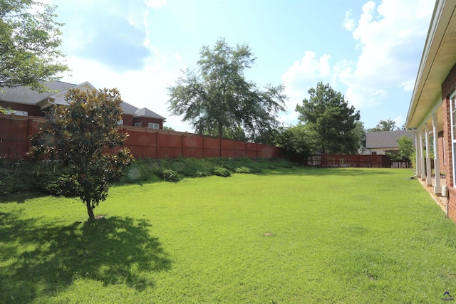 217 Wilsons Creek Bnd, Bonaire, GA 31005 - view of yard