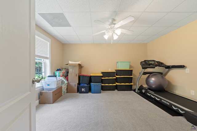 513 Litchfield, Macon, GA 31220 - exercise area with a drop ceiling, carpet, and a ceiling fan