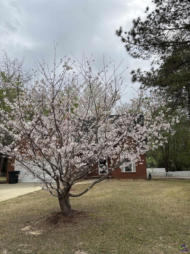 118 Quinelle Dr, Perry, GA 31069 - view of yard