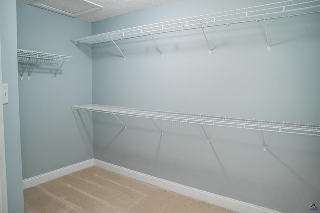 121 Spring Chase Cir, Kathleen, GA 31047 - walk in closet featuring carpet
