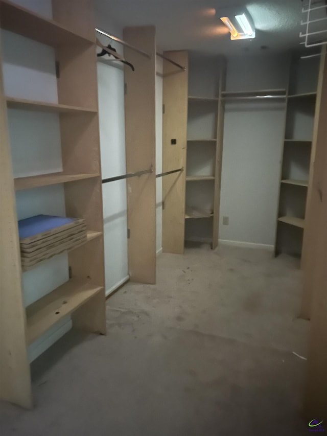 318 Pheasant Rdg, Warner Robins, GA 31088 - view of walk in closet
