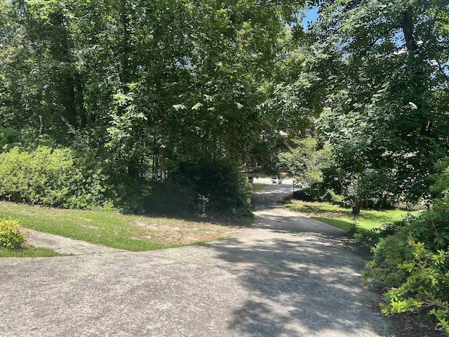 318 Pheasant Rdg, Warner Robins, GA 31088 - view of road