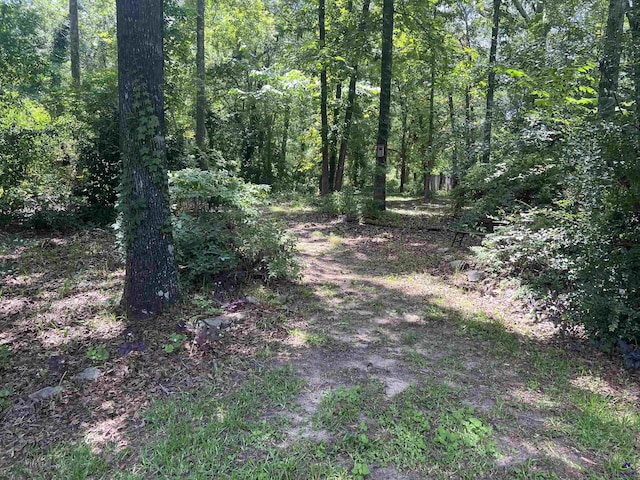 318 Pheasant Rdg, Warner Robins, GA 31088 - view of tree filled area