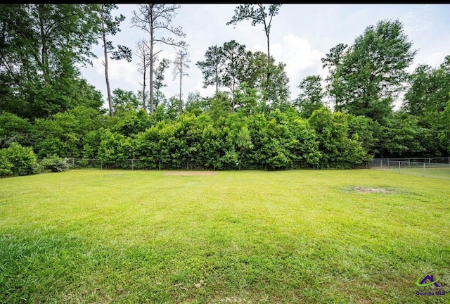 1714 Jean Ave, Albany, GA 31705 - view of yard