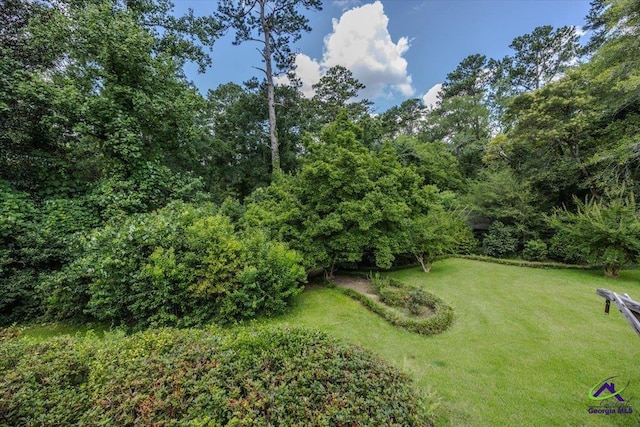 458 Pierce Ave, Macon, GA 31204 - view of green lawn