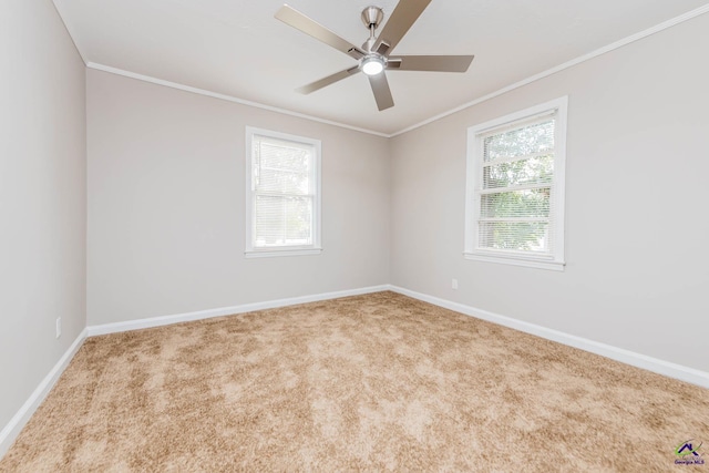 4354 Pio Nono Ave, Macon, GA 31206 - spare room featuring crown molding, a ceiling fan, and carpet flooring