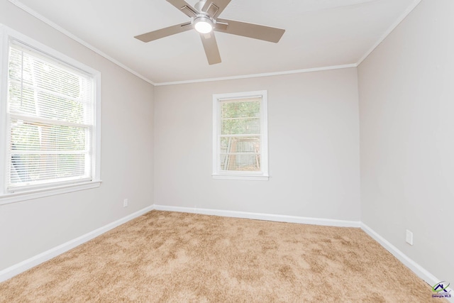 4354 Pio Nono Ave, Macon, GA 31206 - unfurnished room featuring crown molding, carpet, and ceiling fan