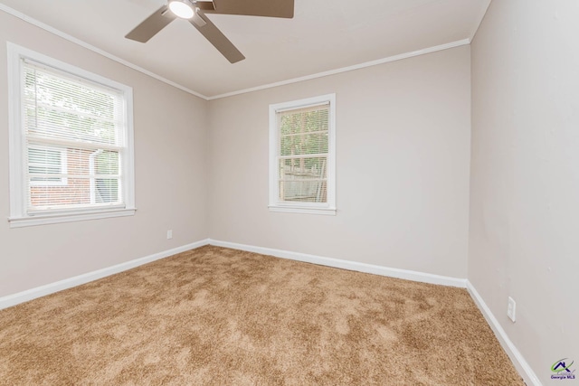 4354 Pio Nono Ave, Macon, GA 31206 - unfurnished room featuring carpet floors, a ceiling fan, plenty of natural light, and crown molding