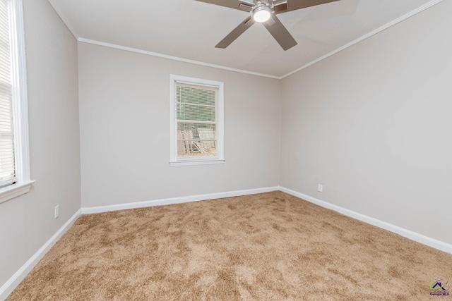 4354 Pio Nono Ave, Macon, GA 31206 - spare room with carpet, ceiling fan, and crown molding