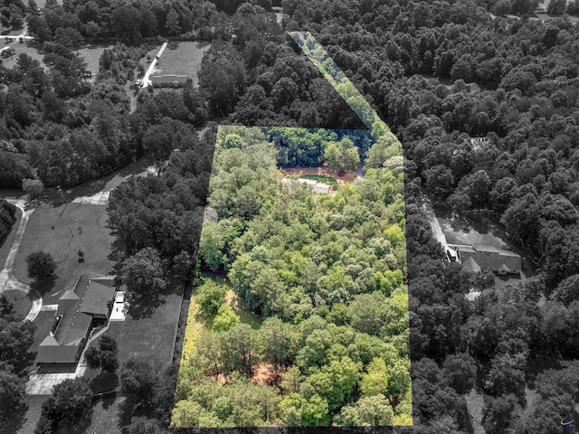 434 Barnes Rd, Jackson, GA 30233 - drone / aerial view of a forest