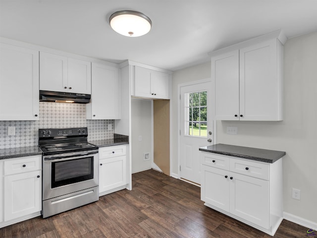 539 Levi Barnes Rd, Jackson, GA 30233 - kitchen featuring stainless steel electric range oven, under cabinet range hood, dark wood-style flooring, and tasteful backsplash