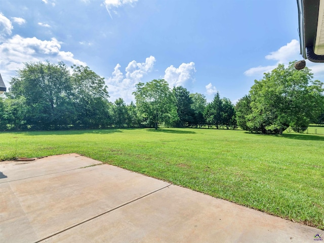 539 Levi Barnes Rd, Jackson, GA 30233 - view of green lawn with a patio