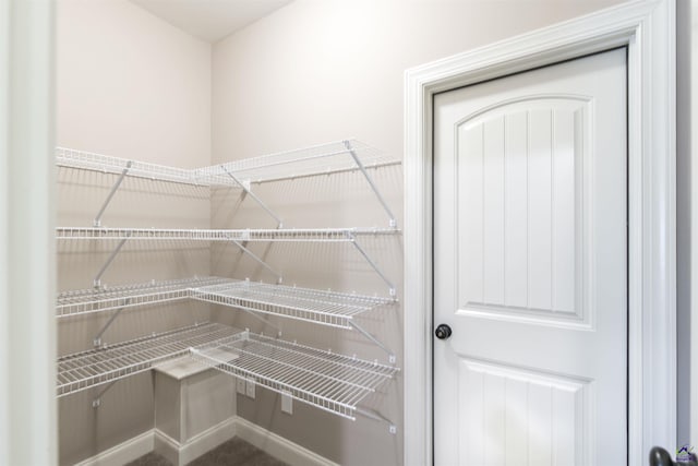 301 Vinings Place Dr, Warner Robins, GA 31088 - view of pantry