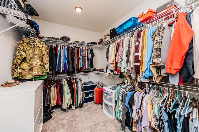 240 Woodlands Blvd, Kathleen, GA 31047 - walk in closet with carpet floors