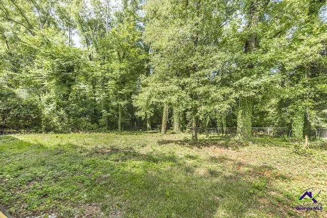 2740 Riverview Rd, Macon, GA 31204 - view of tree filled area